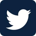 twitter icon