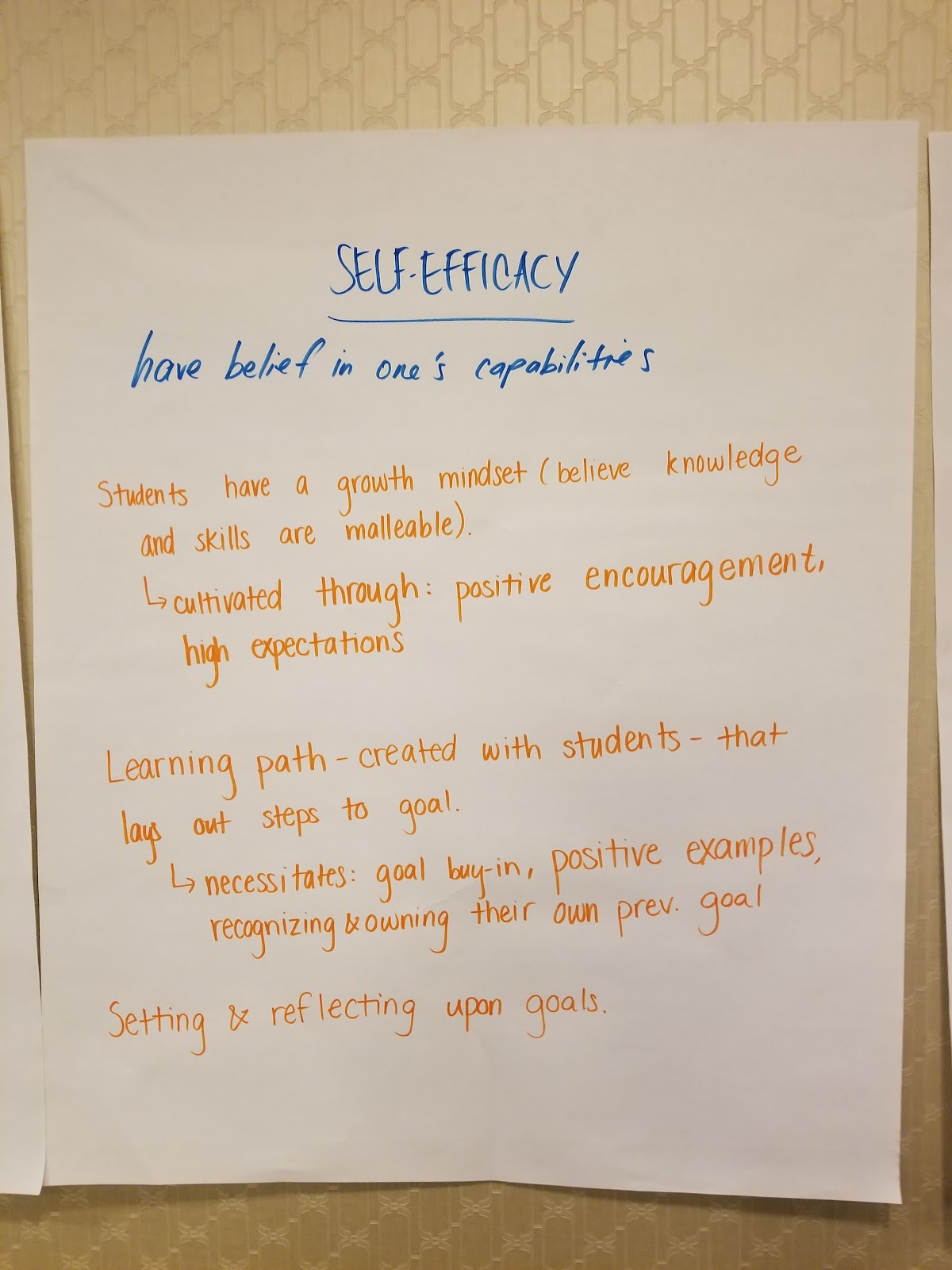 Self efficacy
