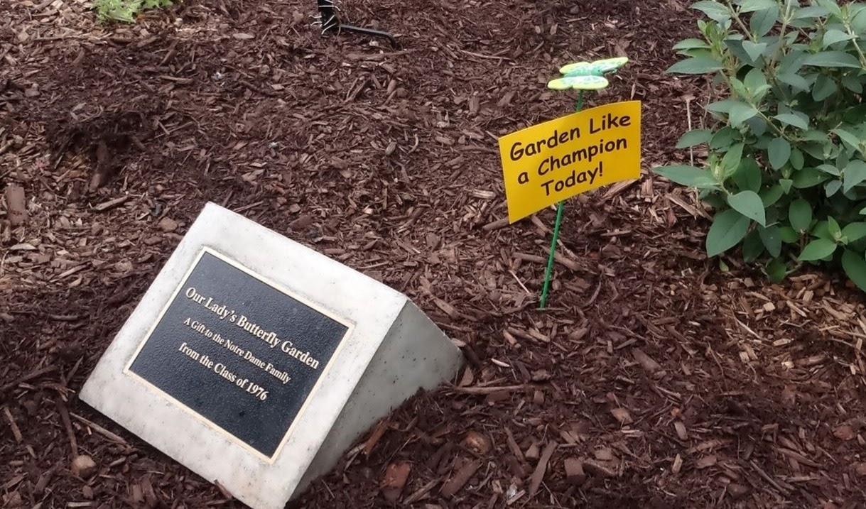 OurLadysGarden