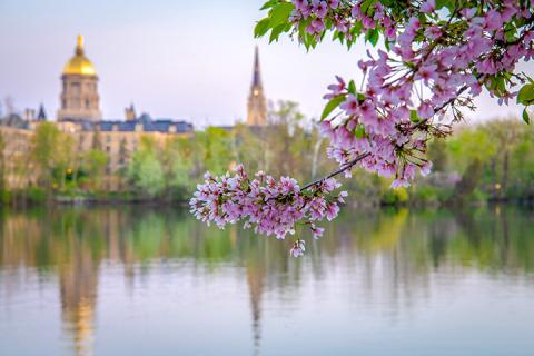Notre Dame