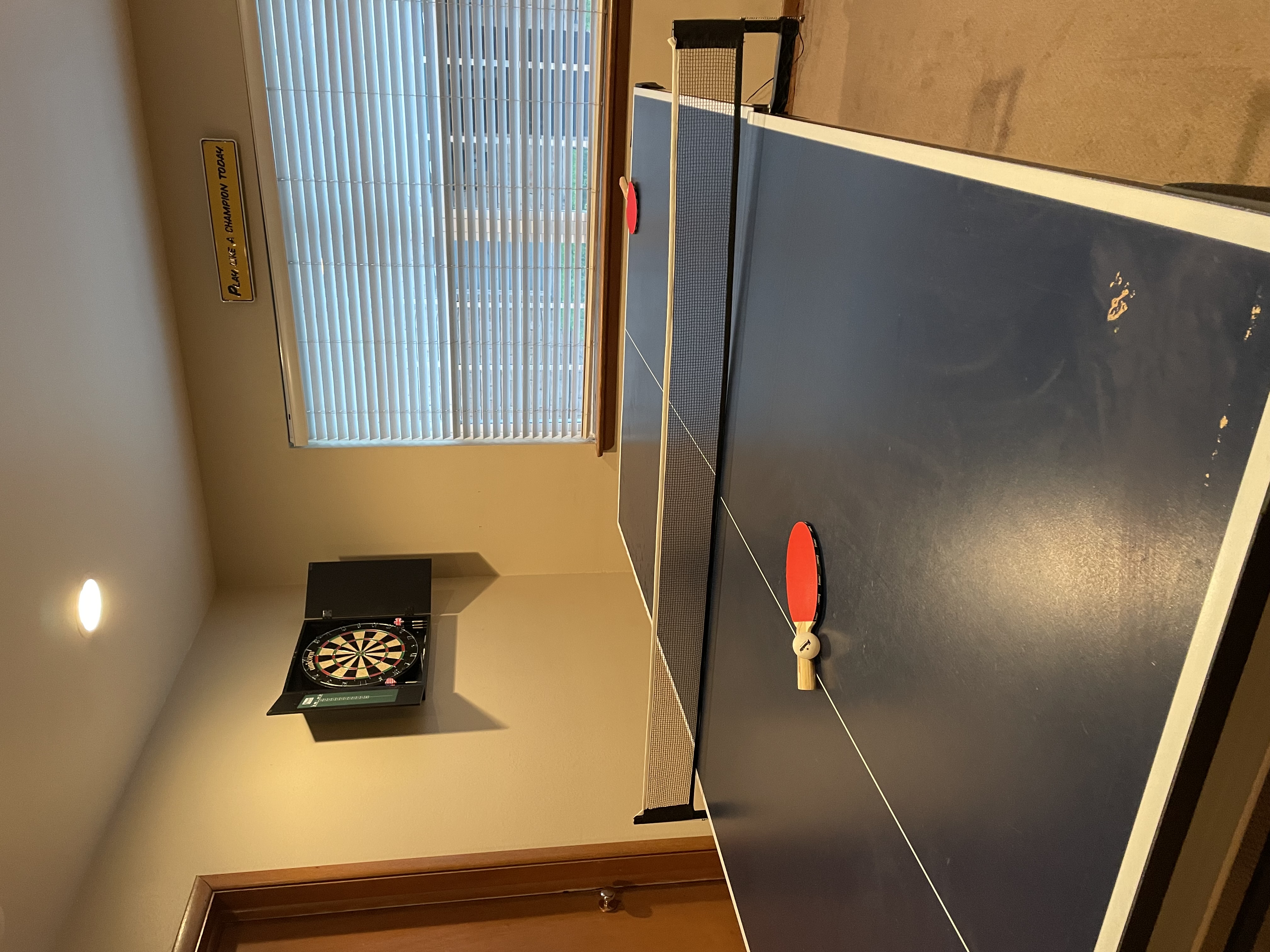  Our free ping pong table (thanks to Pat's craigslist searching skills!)
